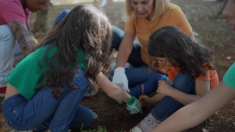 Trusted Crested Butte, CO Tree Services Experts